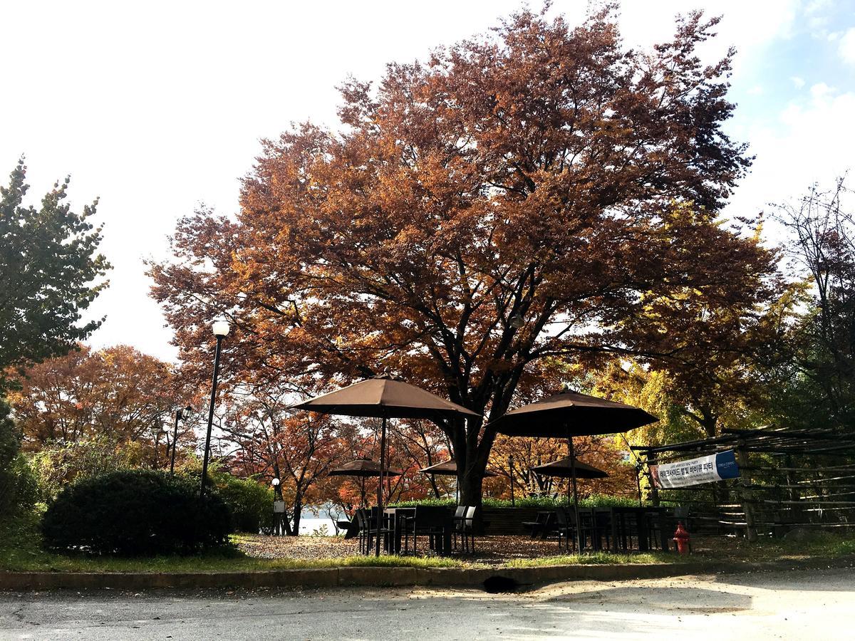 Corea Condo Gyeongju Eksteriør bilde
