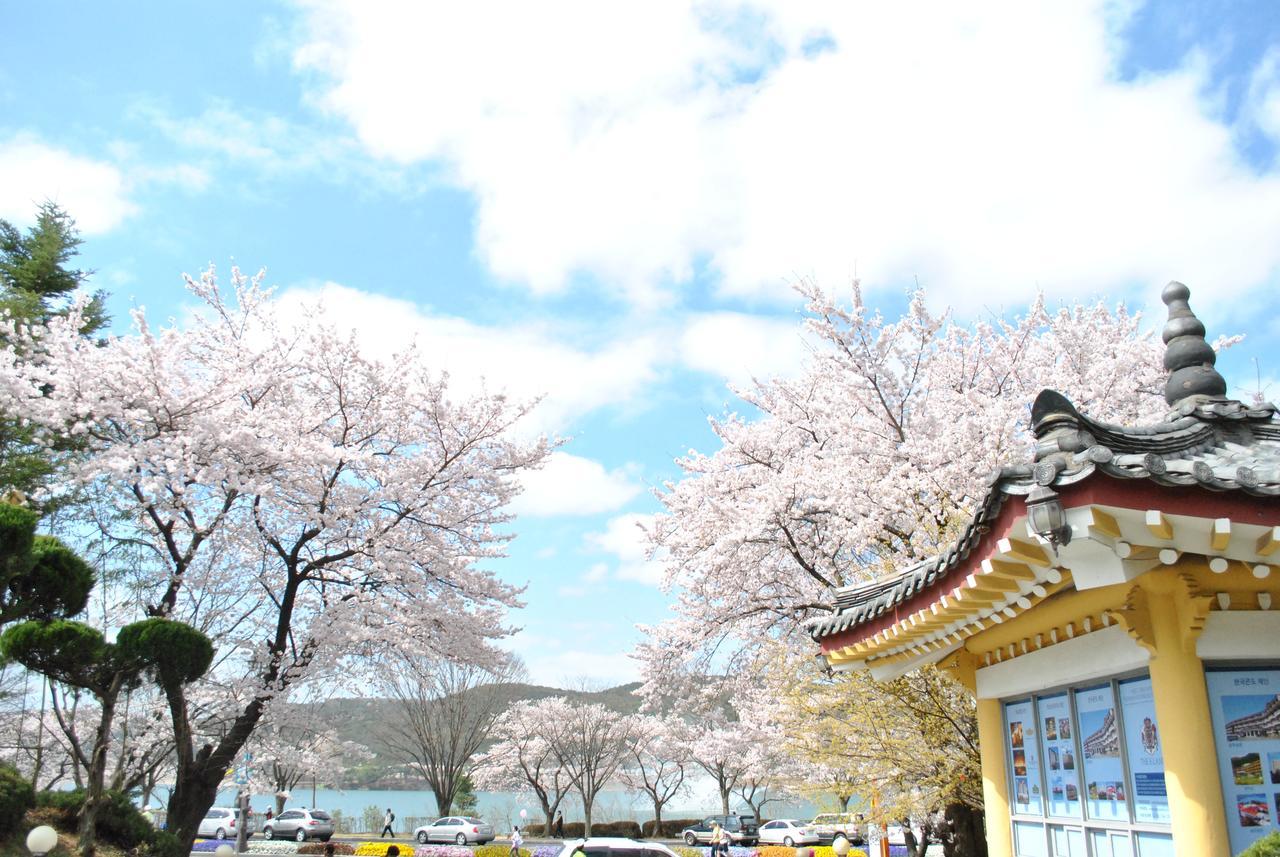 Corea Condo Gyeongju Eksteriør bilde