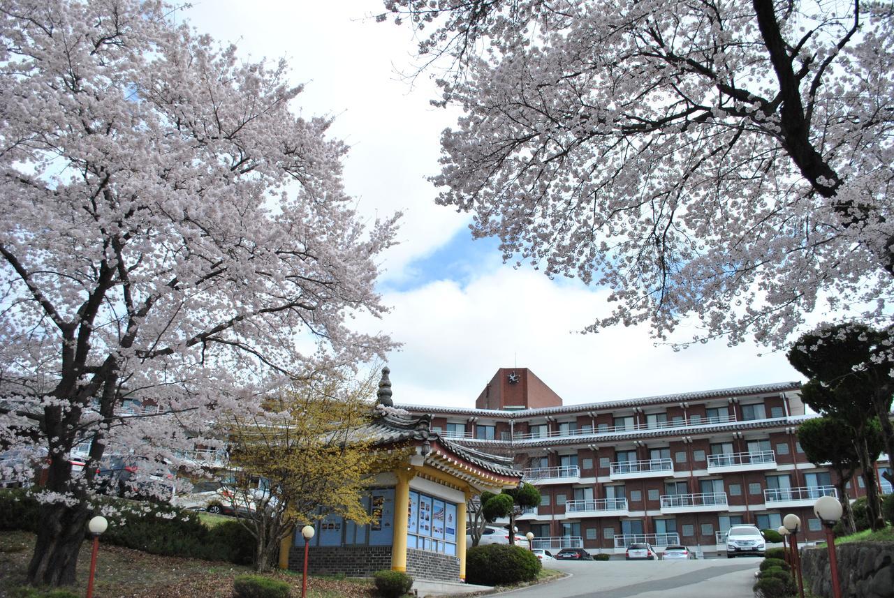 Corea Condo Gyeongju Eksteriør bilde