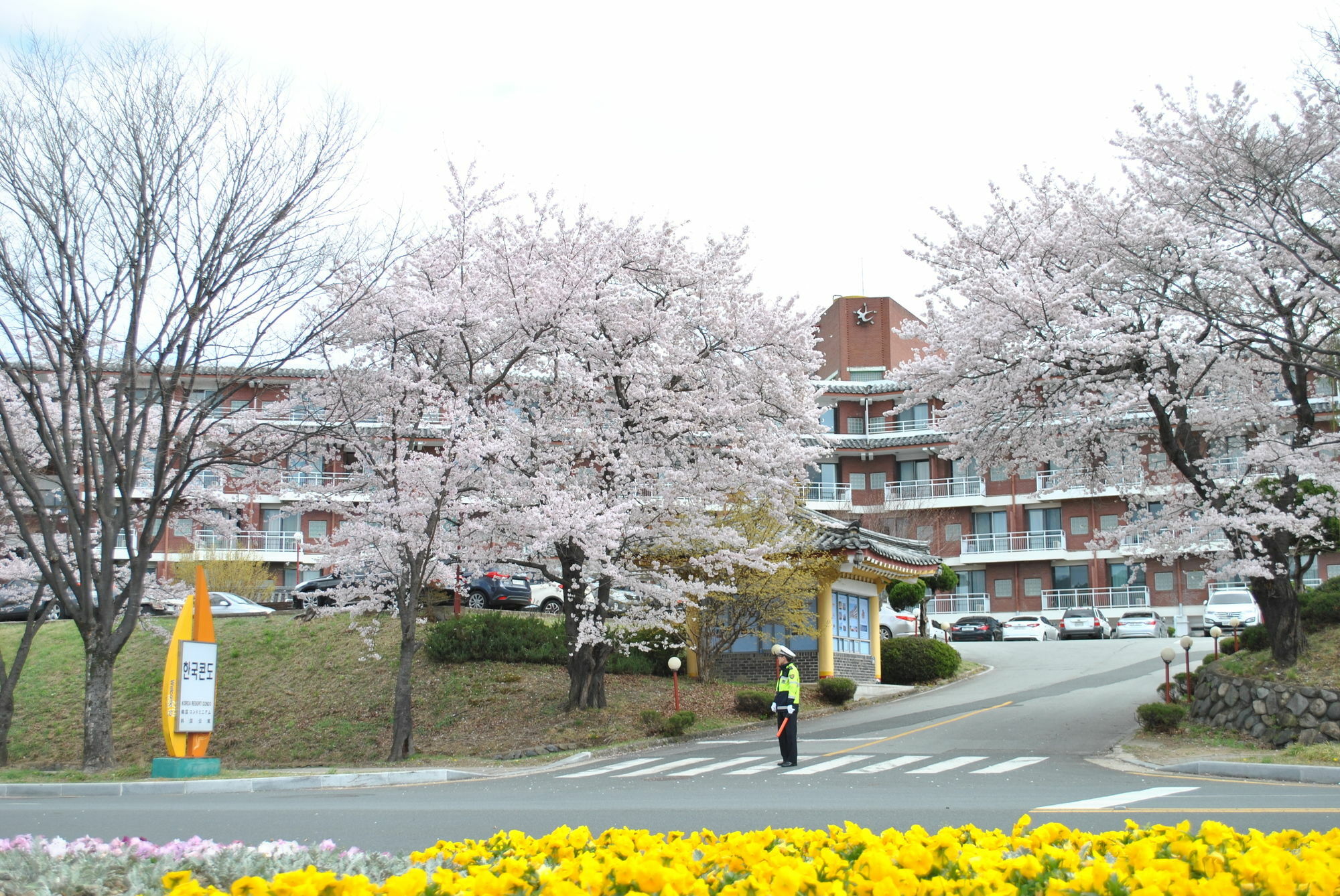 Corea Condo Gyeongju Eksteriør bilde