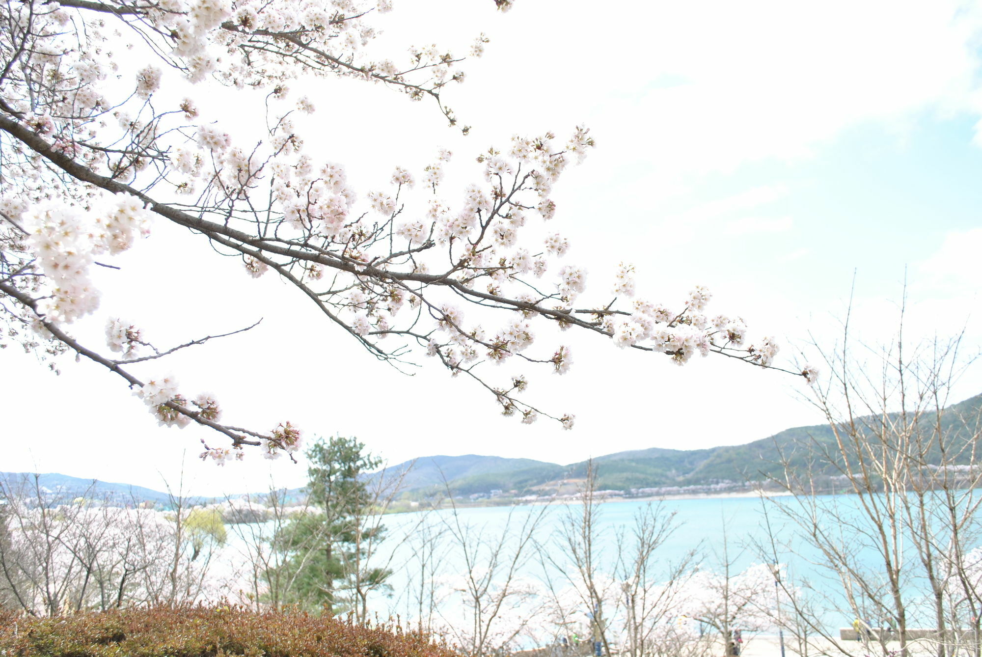 Corea Condo Gyeongju Eksteriør bilde