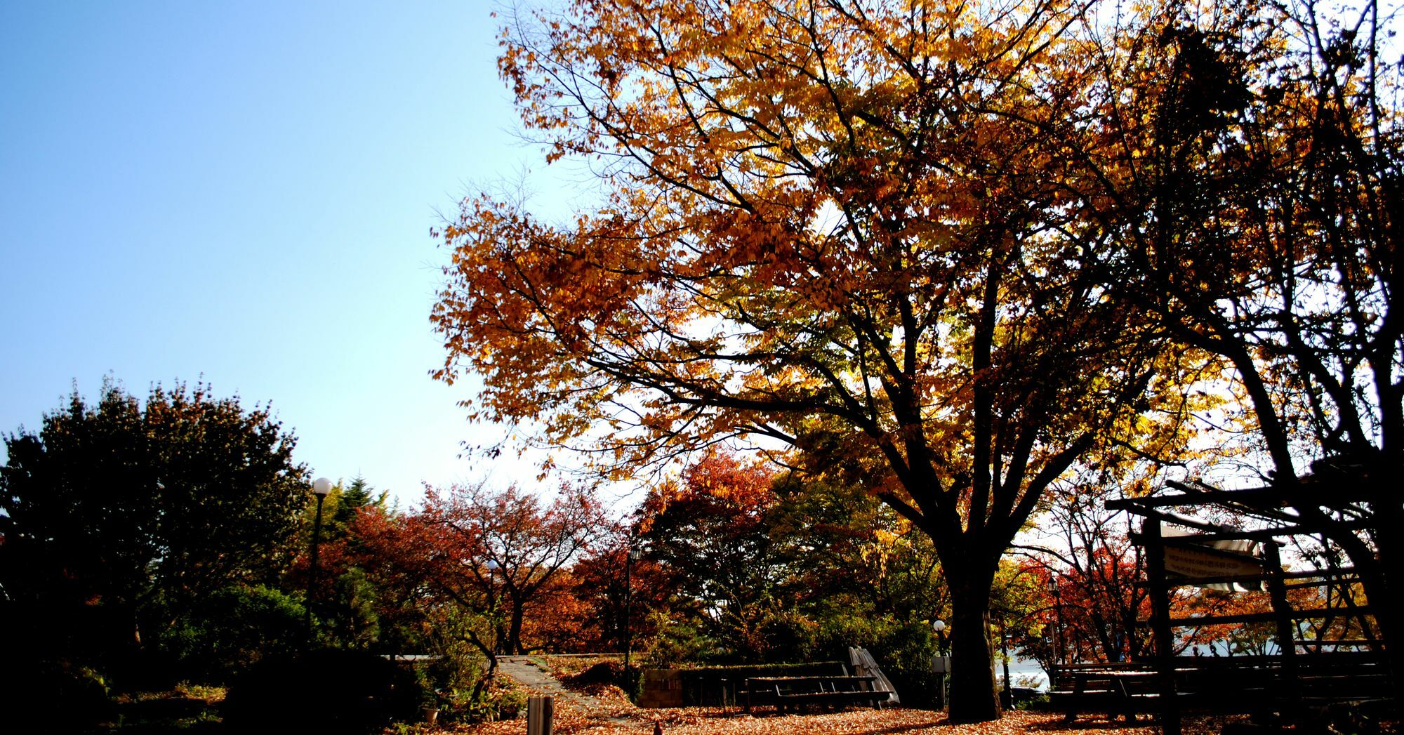 Corea Condo Gyeongju Eksteriør bilde
