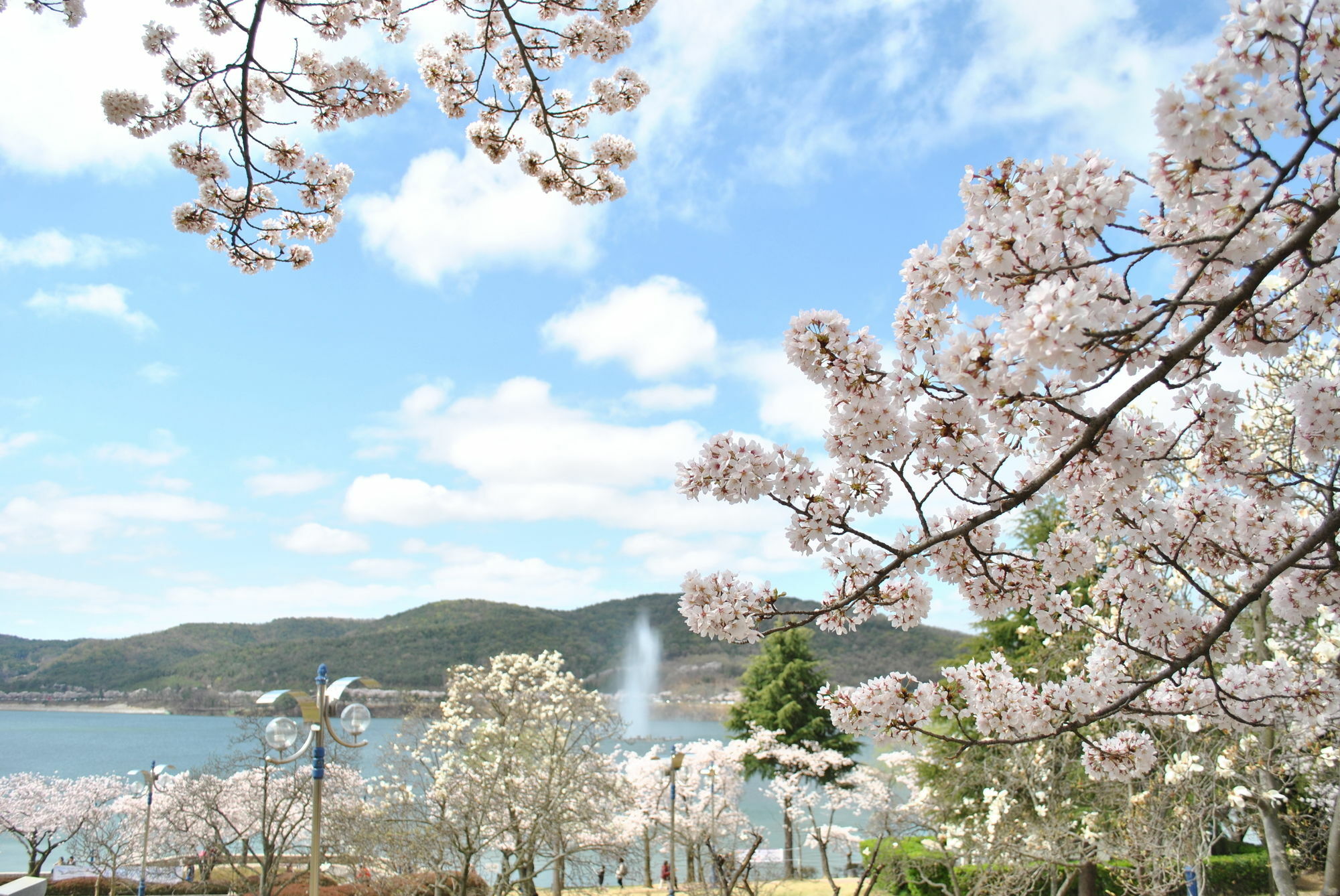 Corea Condo Gyeongju Eksteriør bilde